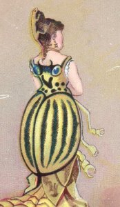 1880s Victorian Trade Card Fantasy Lovely Lady Beetle Dress Lizard Hat P5