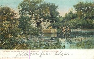 Postcard C-1905 Massachusetts Worcester Lincoln Bridge Fish Hatchery 23-12670