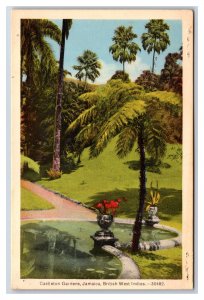 Castleton Gardens Jamaica BWI UNP Linen Postcard B19