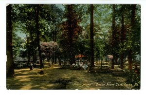 PA - Easton. Greater Island Park, Picnic Ground ca 1910