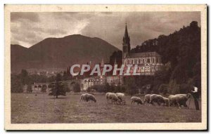 Old Postcard Lourdes Basilica View of the Grotto of meadow