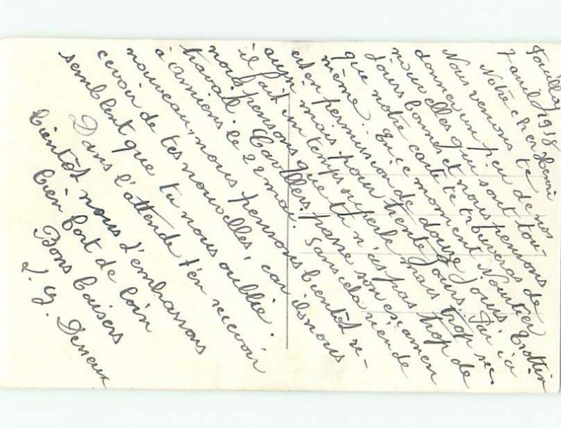 tinted rppc c1910 BEAUTIFUL FLOWERS AC9359