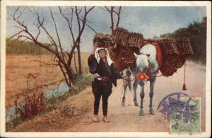 Japan Japanese Man Gathering Wood Pack Horse USED c1920 Postcard