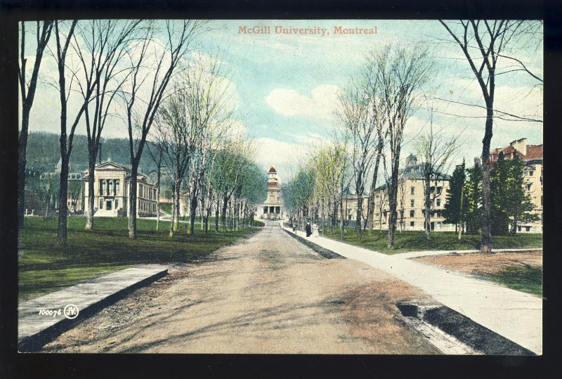 Montreal, Quebec, Canada  Postcard, McGill University