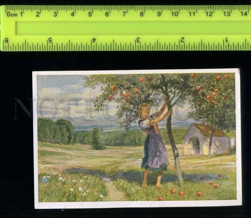 222458 Grimm Tale Frau Holle Mother Hulda by Paul HEY artist old Tobacco Card