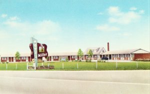 The Miller Motel - Toledo, Ohio - Vintage Postcard