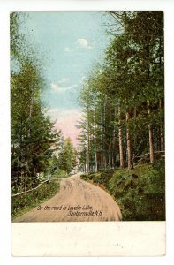 NH - Sanbornville. On the Road to Lovells Lake