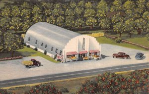 Largo Florida Williams Groves Linen Vintage Postcard AA60095