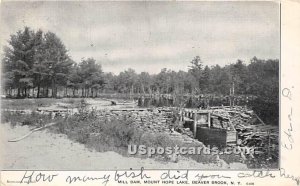 Mill Dam - Beaver Brook, New York NY  