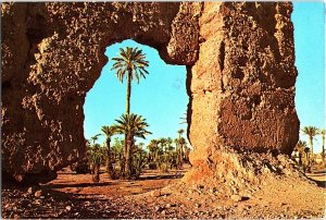 Scenic View of Morocco and its Palm Trees 1960s Postcard