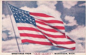 Postcard Greetings from Old Glory Muskegom MI Patriotic