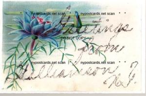 Greetings from Williamson NY