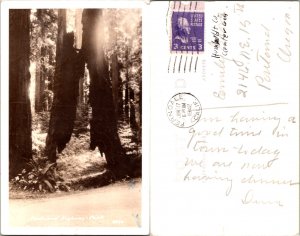 Redwood Highway, Calif. (15066