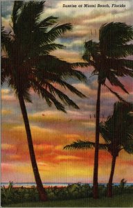 Vintage Sunrise at Miami Beach Florida FL Palm Trees Scenic View Linen Postcard