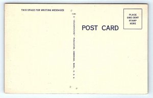 WHEELING, WV West Virginia ~ Swimming Pool OGLEBAY PARK c1940s Linen Postcard