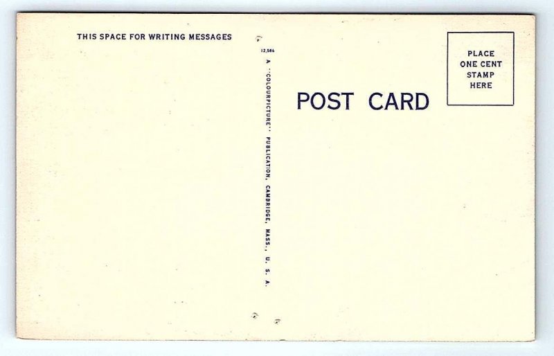 WHEELING, WV West Virginia ~ Swimming Pool OGLEBAY PARK c1940s Linen Postcard