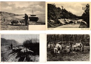 SHEEPS SHEEP MOUTONS 334 Vintage Postcards pre- 1940 (L6112)