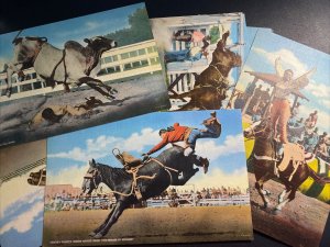 Mint 10 Cowboys Cowgirls Rodeo Scenes Giant Postcard Collection Lot