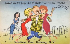 Greetings from - Ossining, New York NY  