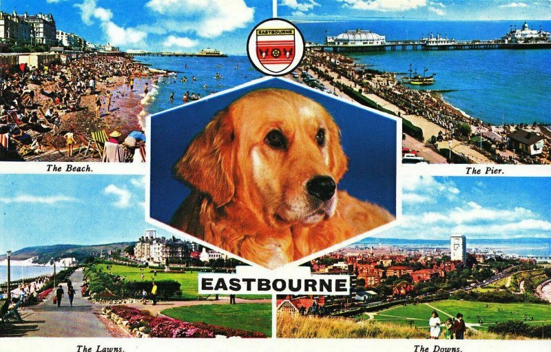 Sussex Postcard - Views of Eastbourne - The Downs - The Pier - The Beach   XX470