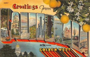 LPS29 CALIFORNIA LARGE BIG Letter In The Golden West Postcard