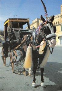 Lot 42 traditional horse drawn carriage il karrozzin malta types folklore