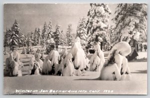 Winter In San Bernardino Mts California RPPC Postcard X21