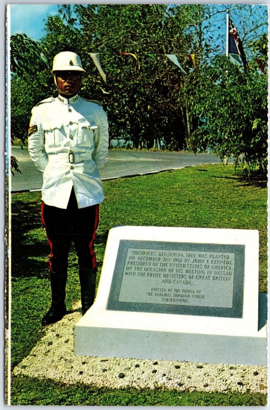 VINTAGE POSTCARD GUARDING THE FICUS BENJAMINA TREE PLANTED AT NASSAU BAHAMAS