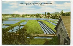 Fish Hatchery Huntsdale Cumberland County Pennsylvania postcard