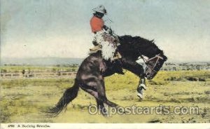 Bucking Bronco Western Cowboy, Cowgirl Unused light crease in card, Unused