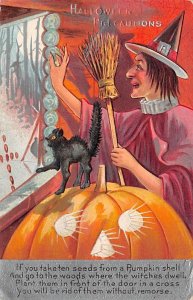 Witch, Black Cat Halloween View Images