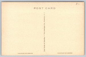 Hand Colored   Windsor  Vermont   Wilson Road  Postcard