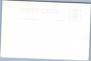 postcard rppc Pineapple Field Hawaiian Islands