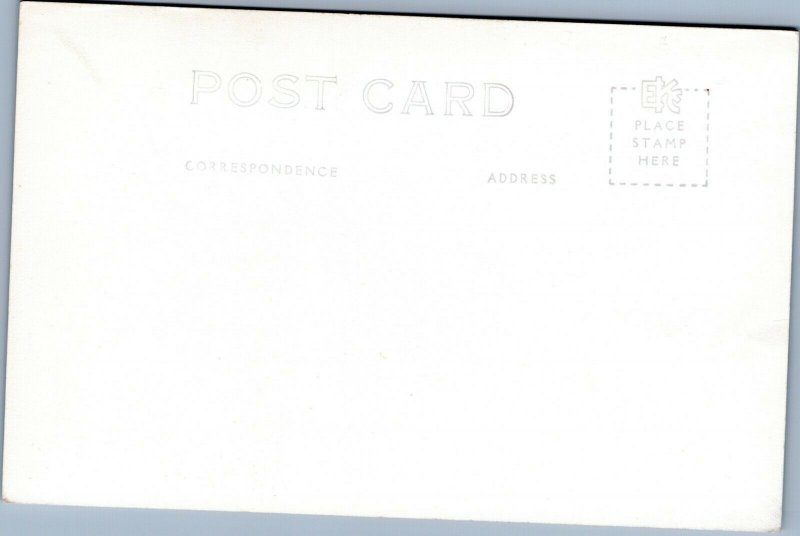 postcard rppc Pineapple Field Hawaiian Islands