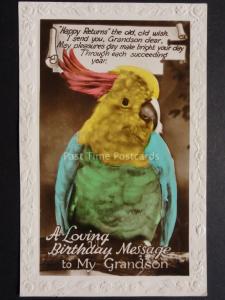 Happy Birthday to MY GRANDSON showing a Parakeet - Old RP Postcard
