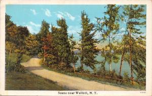 SCENE NEAR WALLKILL NEW YORK POSTCARD 1920s