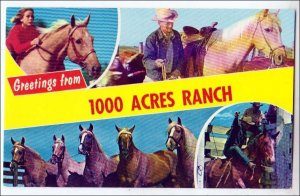 1000 Acres Ranch - Stony Creek, NY
