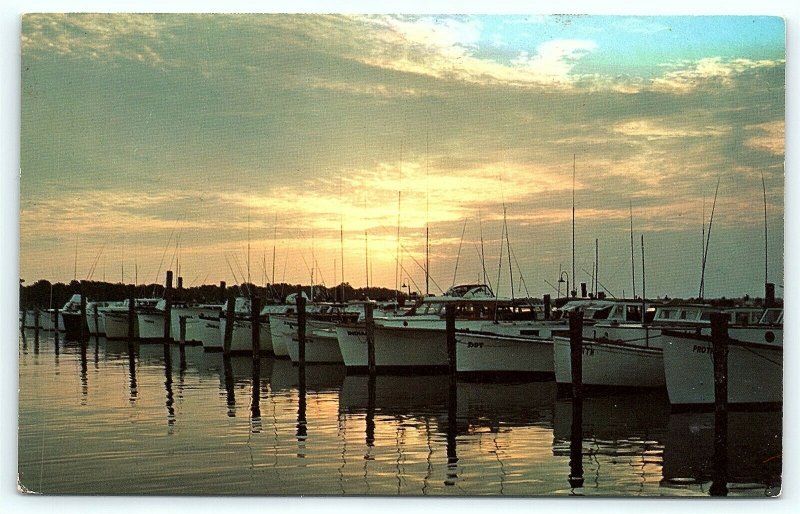 Postcard DE Rehoboth Beach Sunset at Indian River Yacht Basin D10