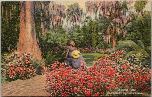 Florida Cypress Gardens Azalea Time Curteich