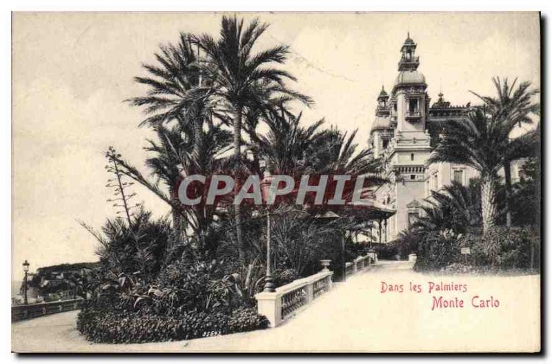 Old Postcard Monte Carlo in the Palms