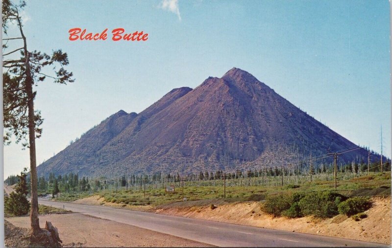 Black Butte CA US #99 Highway near Mt Shasta Unused Vintage Postcard H23