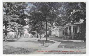 Crescent Street Scene Allegan Michigan 1915 postcard