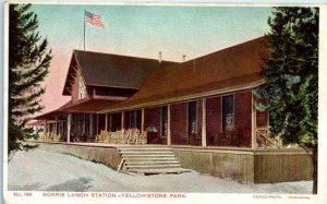 1910s Yellowstone Park Norris Lunch Station Haynes 100 Series No. 194 Postcard