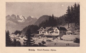 Hotel Pension Alpina Brunig Austria Antique Postcard