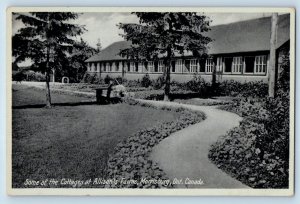 Morrisburg Ontario Canada Postcard Some Of The Cottages At Allison's Farms c1910