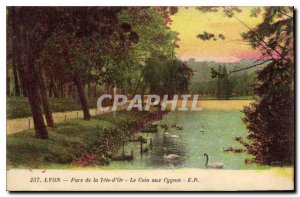 Old Postcard Lyon Tete d'Or Park The corner of Swans