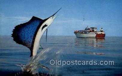 Jumping Marlin Fishing Unused 