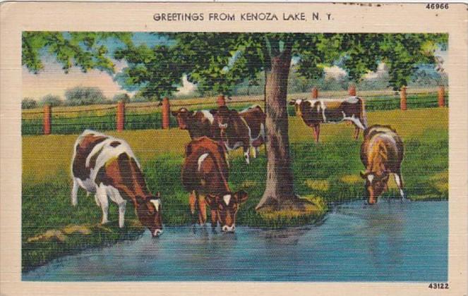 New York Greetings From Kenoza Lake 1945