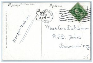 1910 Poem Pine Cone Sandford Buffalo New York NY Posted Antique Postcard 