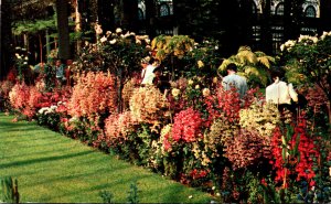 Delaware Wilmington Longwood Gardens Flowers In Conservatory
